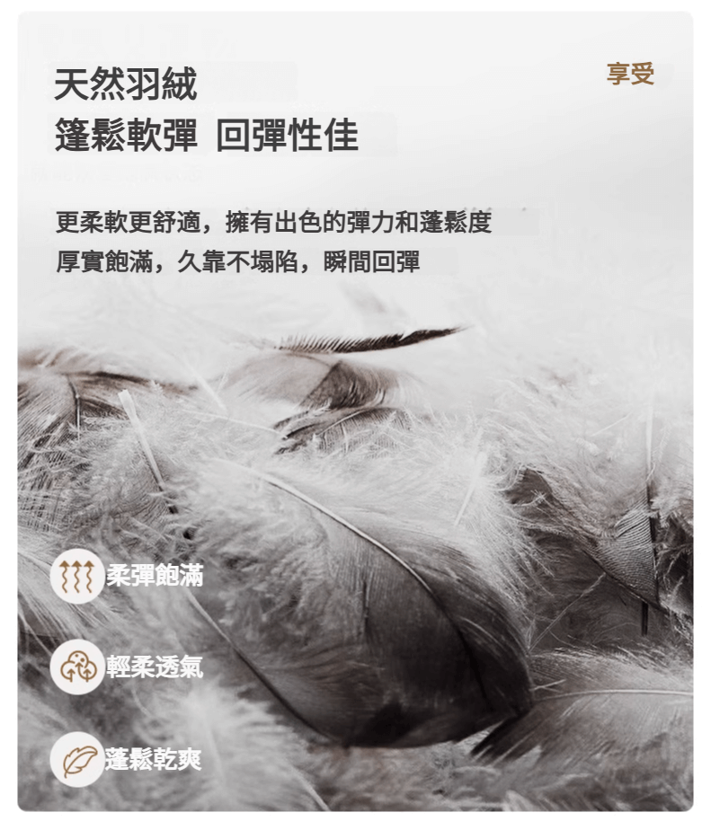 Alethea 雪天使梳化 2 1