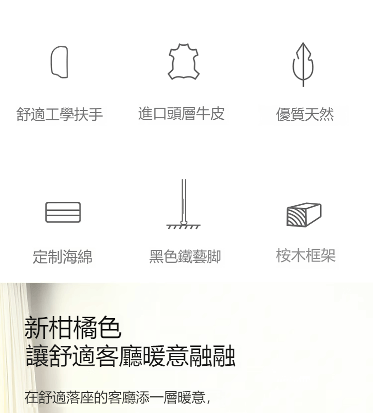 Ava-Minimalist Line Sofa Ava 極簡線條梳化 15 01235
