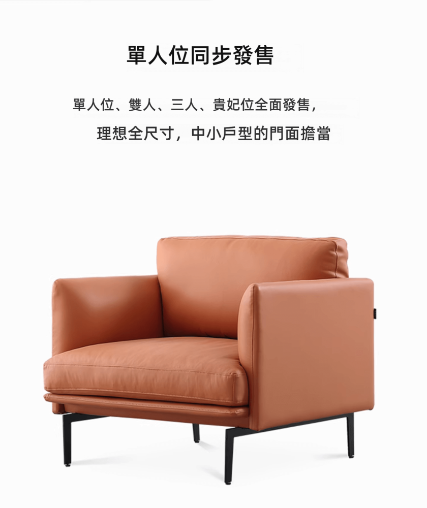 Ava-Minimalist Line Sofa Ava 極簡線條梳化 4 01235 e1743776026294