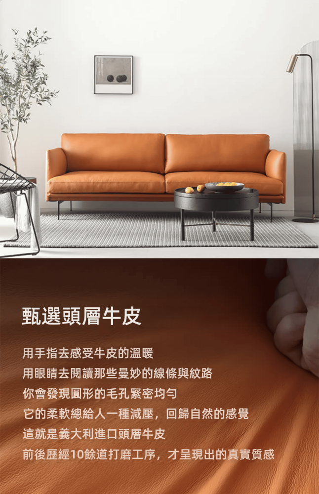 Ava-Minimalist Line Sofa Ava 極簡線條梳化 6 01235 1