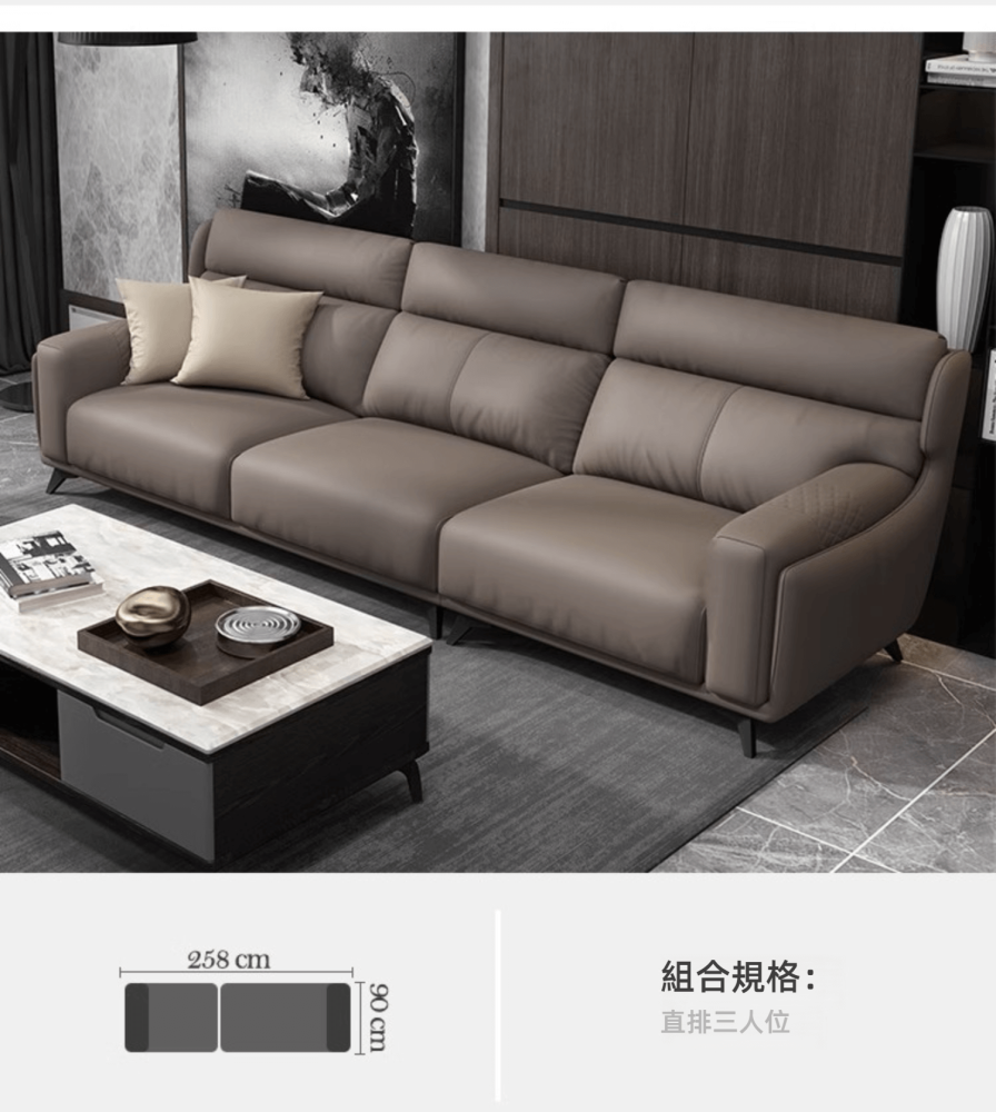 Augustus-Minimalist Semi-Leather Sofa Augustus 極簡半真皮梳化 1 0136