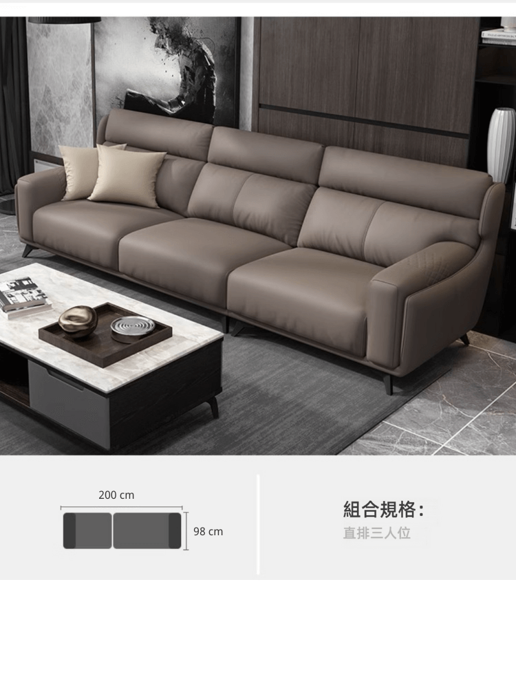 Augustus-Minimalist Semi-Leather Sofa Augustus 極簡半真皮梳化 3 0136