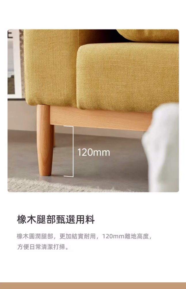 Newton 陽光日式實木梳化 11 converted