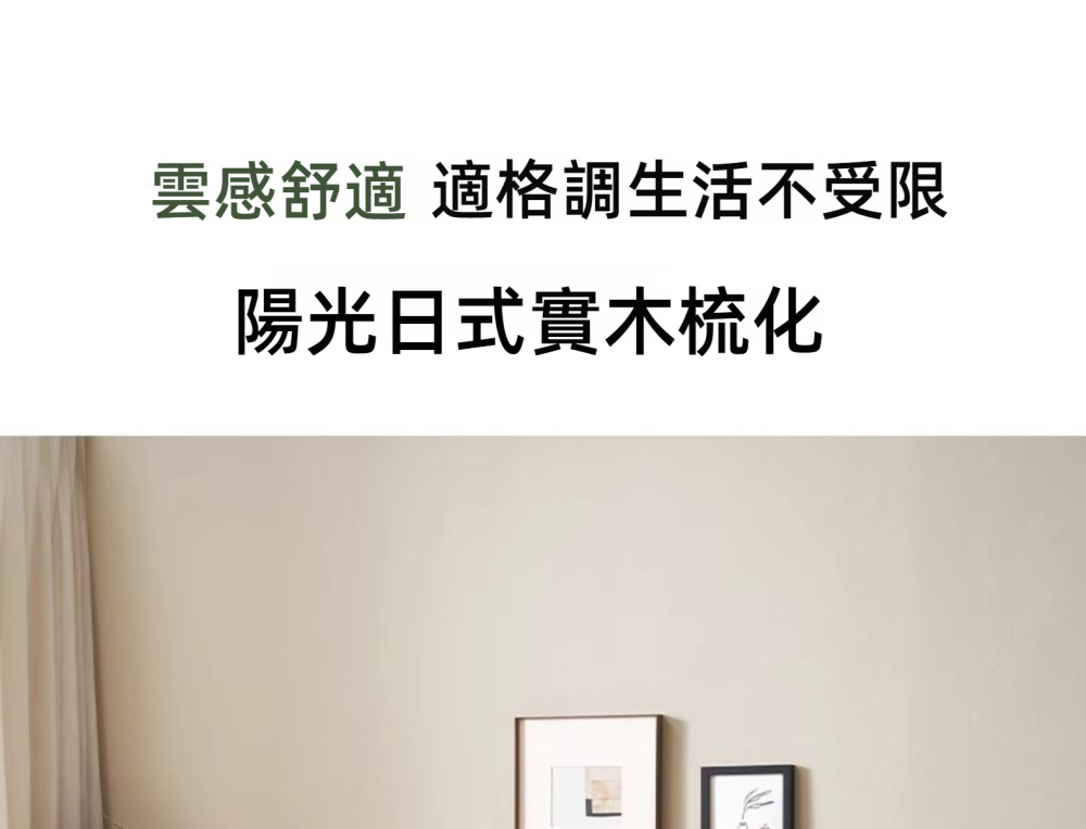 Newton 陽光日式實木梳化 27 01236