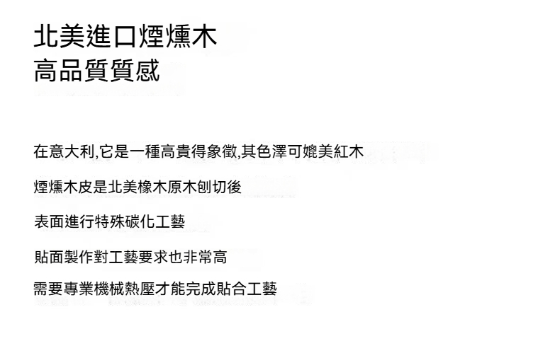 Earnest 簡約升降枱 1